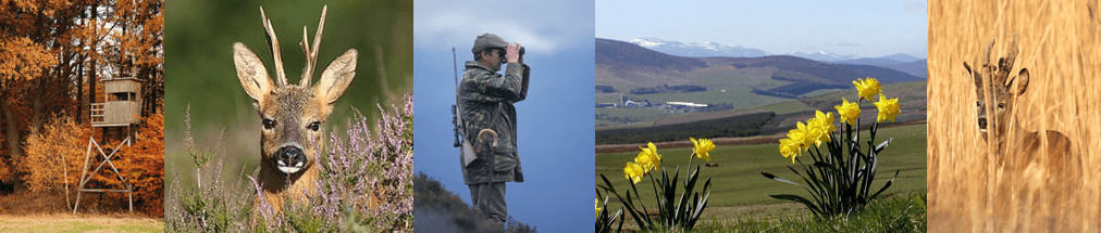 summer hunting experience scotland