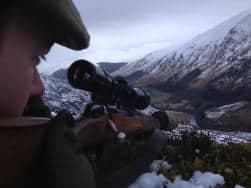 hind red deer hunting in scotland