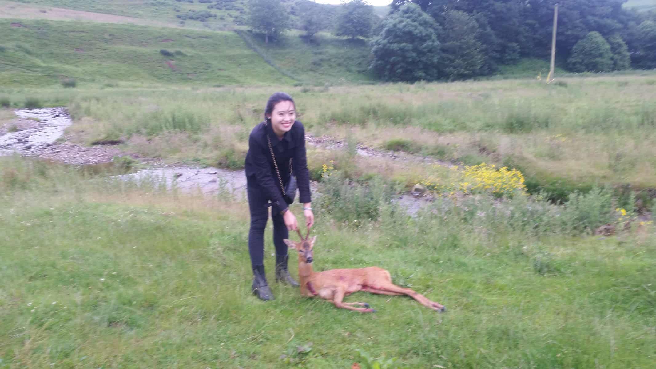 chinese VIP hunters get a roe buck