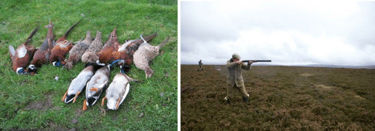 wingshooting in scotland