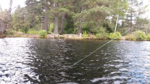 trout fishing in the scottish highlands 2