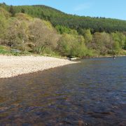 Fishing on the River Tay