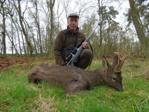 roe buck hunting summer holiday in scotland