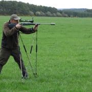 roe buck summer holiday in scotland hunting