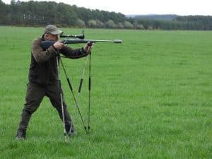 roe buck summer holiday in scotland hunting