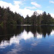Trout fishing in the scottish highlands
