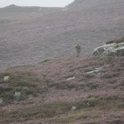 hunting highlands