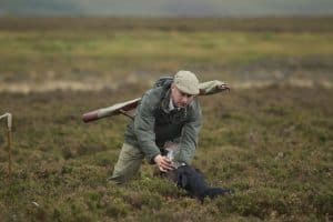 grouse shooting in Scotland