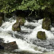 Scottish rivers