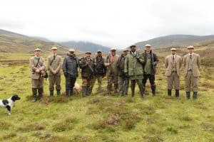 Scottish wing shooting grouse