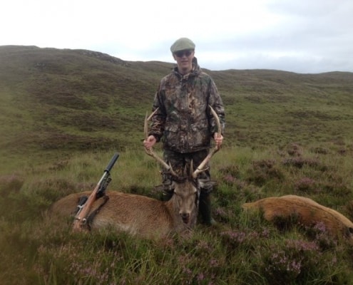 stag hunting in Scotland availability