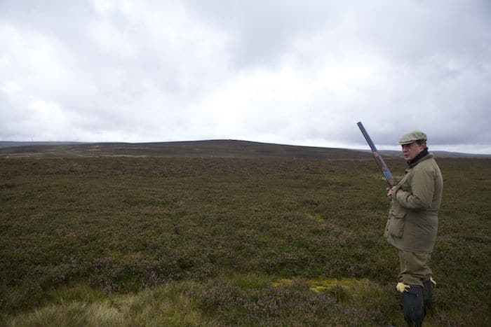 grouse hunting Scottish Vacation in the Scottish Borders