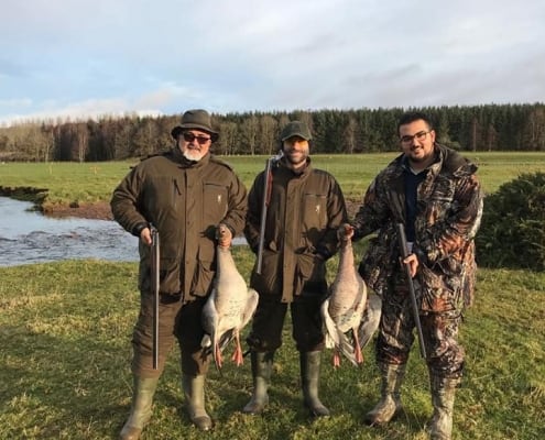 duck and goose hunting seasons Scotland