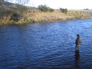 November to February best grayling fishing Scotland