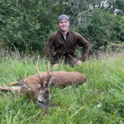 a buck in the Scottish borders