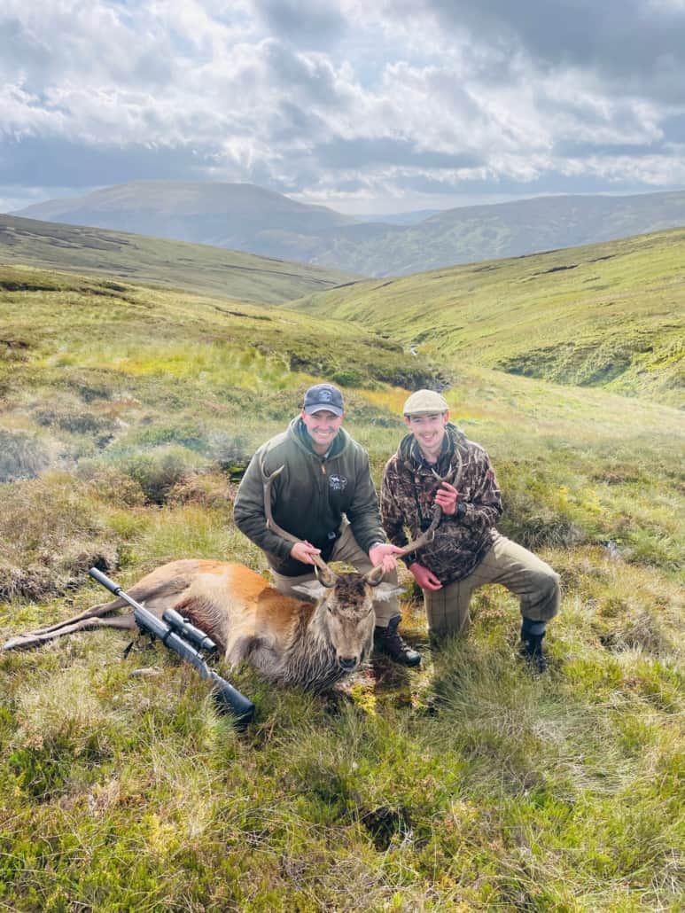 Scottish Highland Hunting Stag